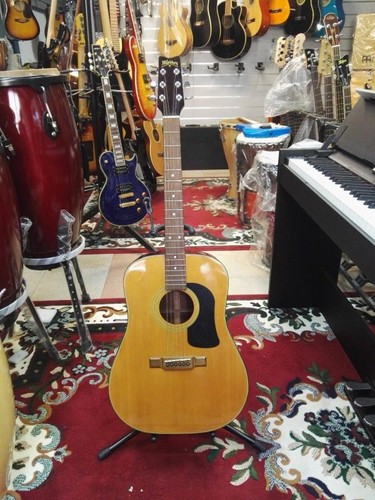 Chitarra acustica washburn - chitarra,