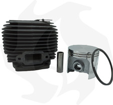 Cilindro e pistone per