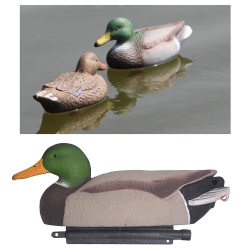 Schiuma anatra caccia decoy - schiuma,