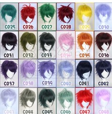 Parrucca Basic Cosplay Doujin