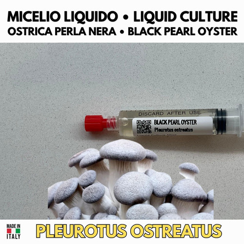 Cultura liquida fungo - cultura,