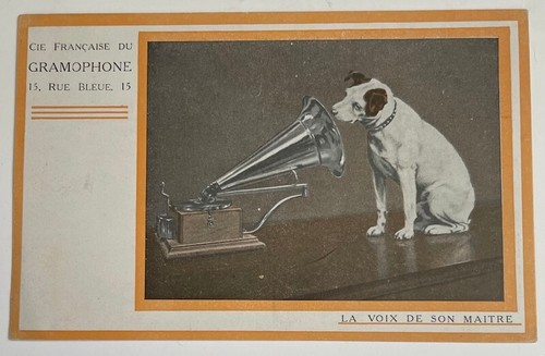 1910 antico dog - dog, nipper
