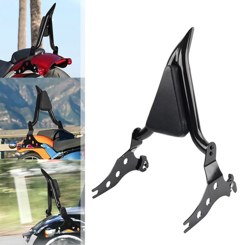 Schienale passeggero sissy bar - passeggero,