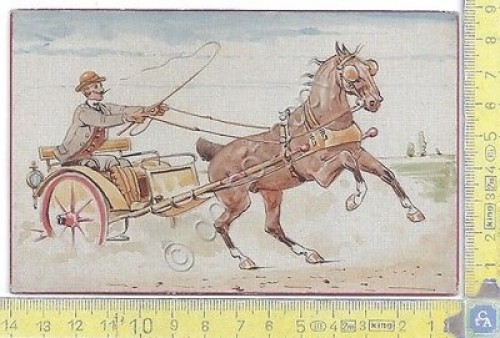 Cartolina illustrata con