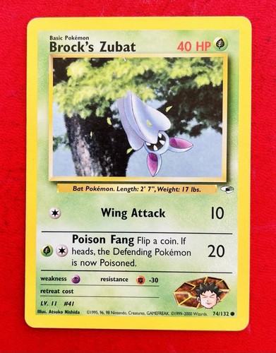 Lotto carte pokemon - tgc, gym