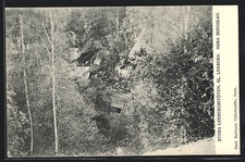 Cartolina Nora, Stora