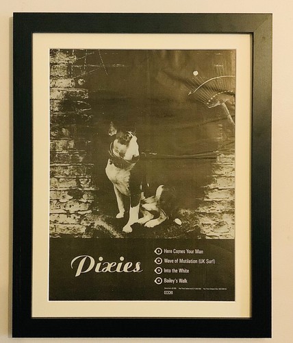 Pixies here comes - comes, your