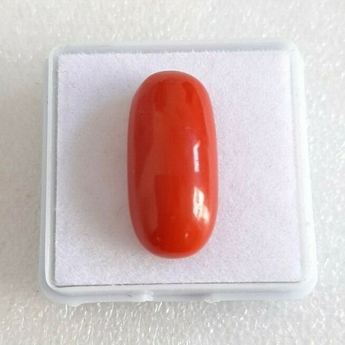 Mediterranea mare rosso - mare,