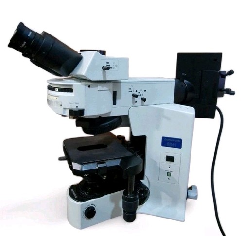 Microscopio olympus con - microscopio,