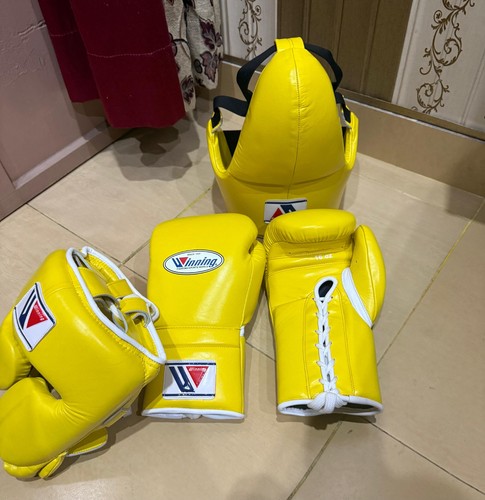 Set guantoni boxe - set,