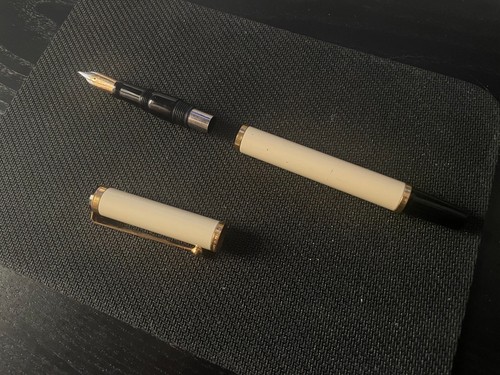 Penna stilografica waterman - stilografica,