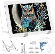 Tavoletta Luminosa A3, Con