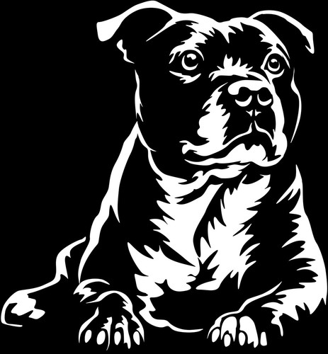 Adesivo staffordshire - adesivo,