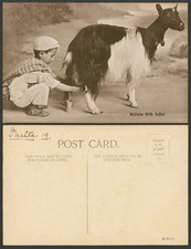 Malta 1919 Old Postcard