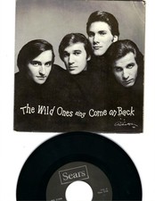45 + PIC SLEEVE- THE WILD