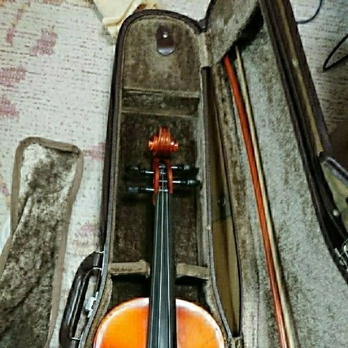 Violino 4 - violino, 3/4