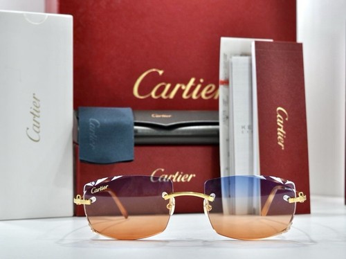 Occhiali sole cartier - occhiali,