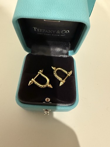 Orecchini tiffany titan - orecchini,