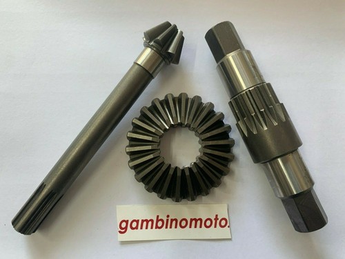 Coppia conica pasbo g31 - conica,