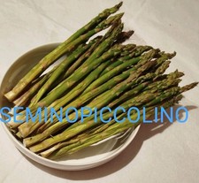 100 Semi Asparago Verde Semi
