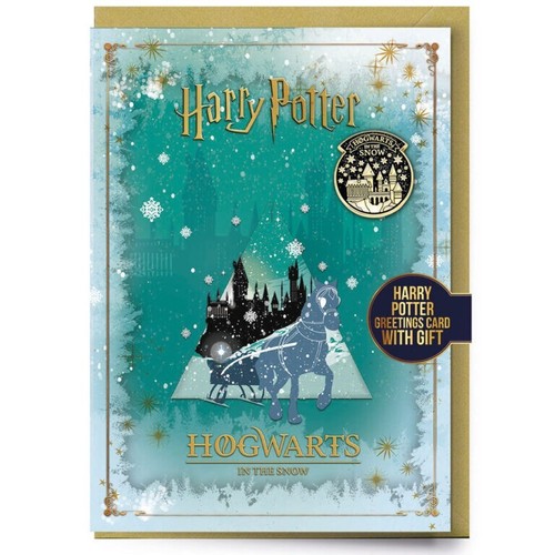 Harry potter hogwarts inverno - harry,