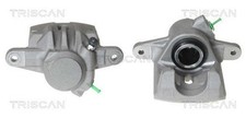 Pinza freno TRISCAN 8170