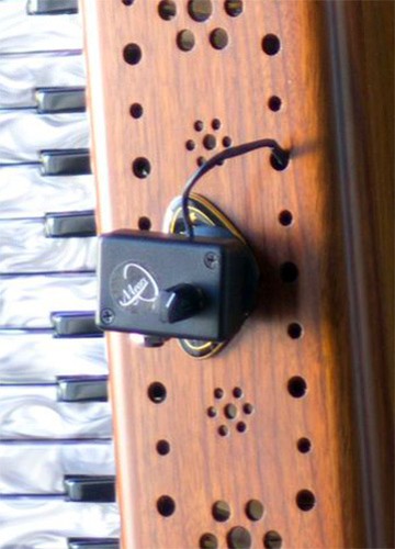 Accordina melodica pickup - pickup, di