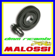 Rapporti allungati malossi - rapporti,