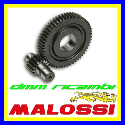 Rapporti allungati malossi - rapporti,