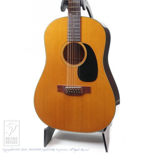 Martin d12 12 corde con - corde,
