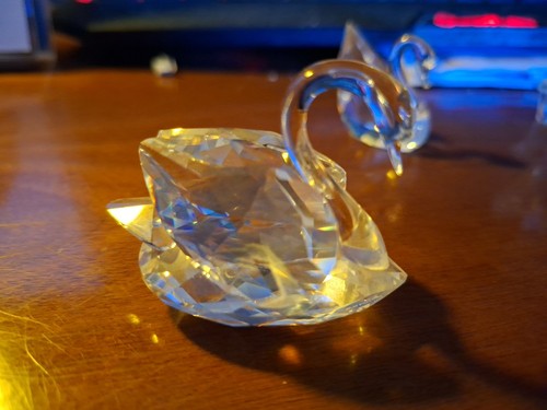 Swarovski cigno piccolo - swarovski,