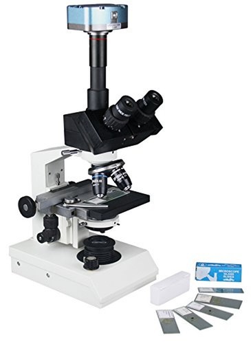 Microscopio biologico - microscopio,