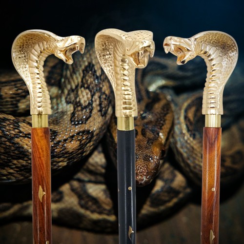 Manico cobra serpente - serpente, in