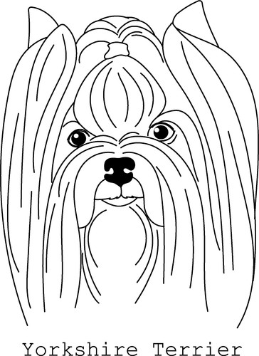Adesivi auto yorkshire terrier - auto,