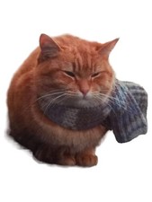 James Bowen: A spasso con Bob