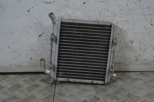 94720 radiatore acqua aprilia - acqua,