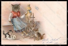 Illustratori Artista Firmato Gatto Vestito Serie 6998 Cartolina ZG9022