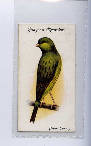 John players aviary - john, players,aviary