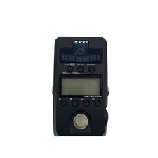 Korg Pandora Stomp PX-ST