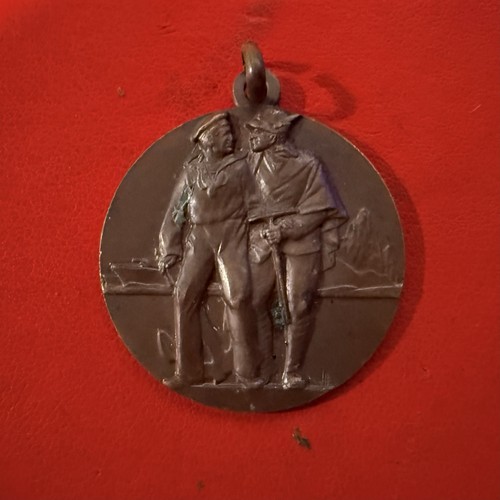 Medaglia adunata nazionale - adunata,