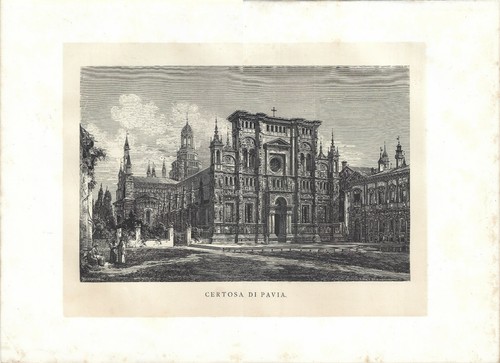 Stampa antica certosa pavia - stampa,