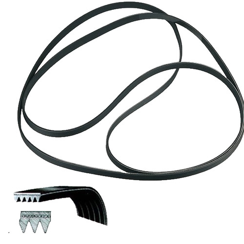 Cinghia elastica lavatrice