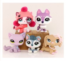 5 pezzi bassotto pelo corto