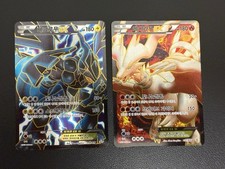 2013 RESHIRAM ZEKROM BW Libro