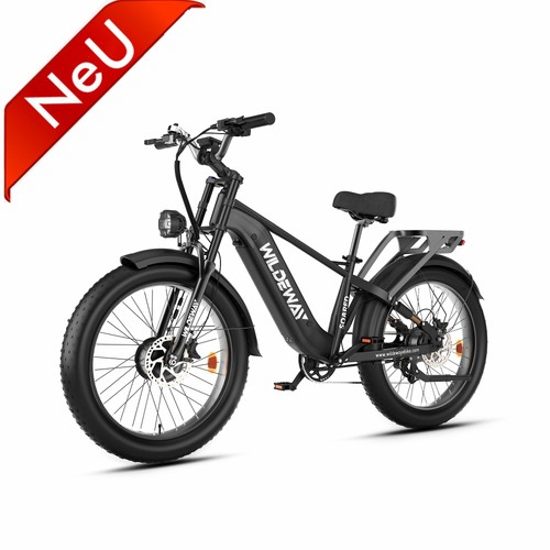 2000w doppio motore ebike - motore,