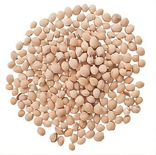 Noccioli ciliegie sfusi - noccioli, di