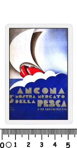 Calamita ancona mostra mercato - calamita,
