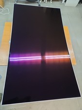 Solo Pannello Display Oled 55" Pollici 55EG910V 