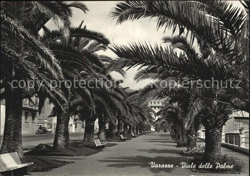 Varazze viale delle palme - viale,