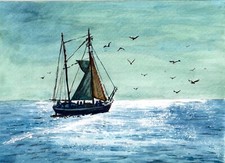 Boat In The Morning, Fishing